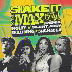 MOLIY & Silent Addy - Shake It To The Max (FLY)