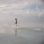 Olivia Rodrigo The Book of Love